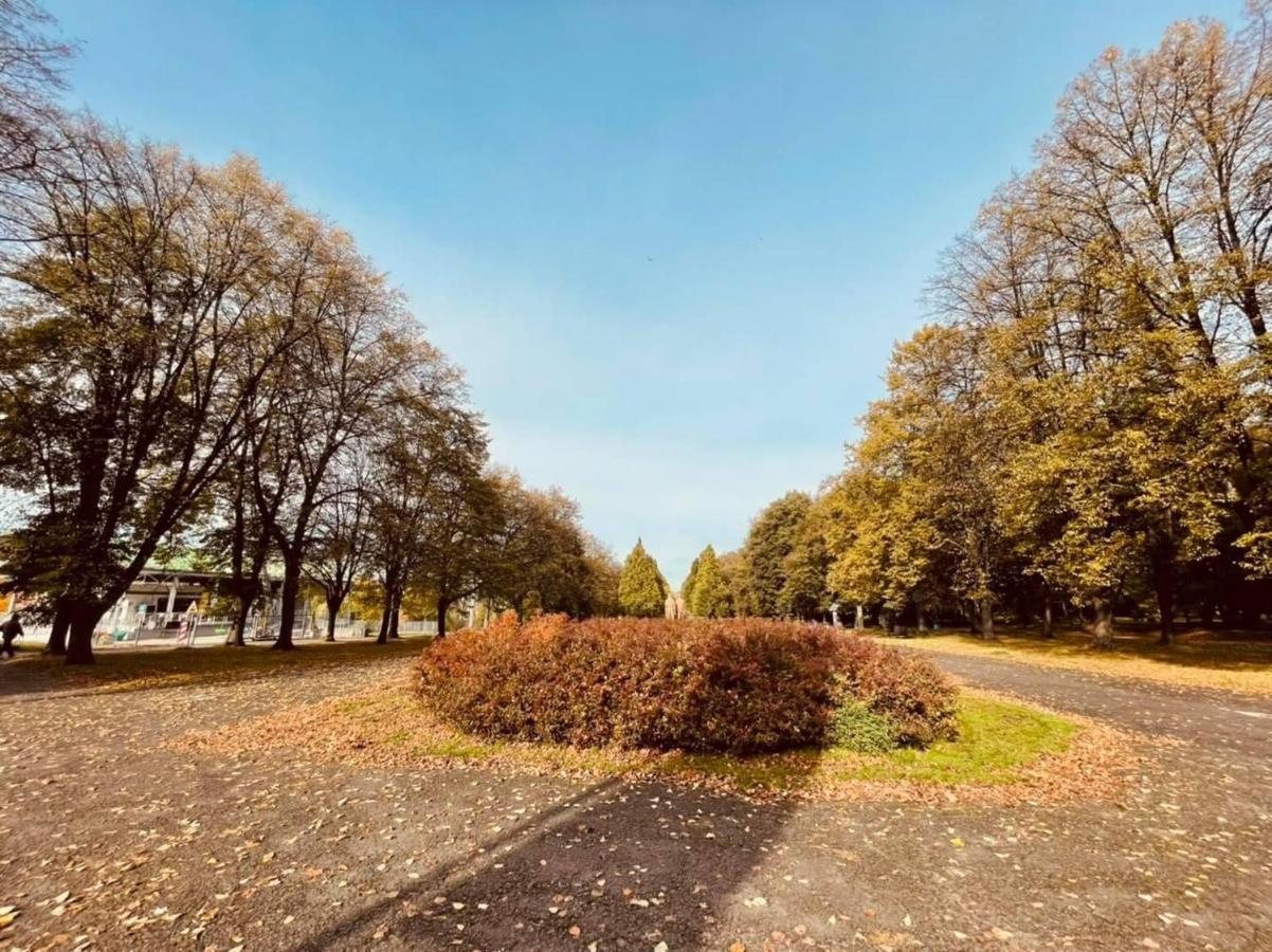 Apartamenty Ktw Silesia City Center - Park Slaski Katowice Esterno foto